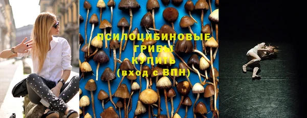 прущие крисы Армянск