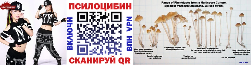 Псилоцибиновые грибы ЛСД  Купить где  Черемхово 